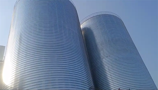 鹤山2座混凝土高架卷板仓